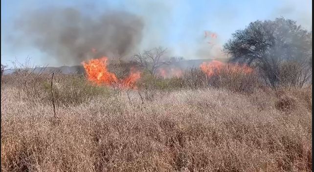 Ulapes: Incendio forestal, el fuego fue sofocado tras avanzar rápidamente por los fuertes vientos
