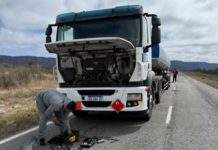 Capital: Un camión chocó contra una oveja y sufrió daños materiales sobre la Ruta 79