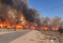 Chepes: un incendio de gran magnitud se extendió desde la zona del basural hacia un campo