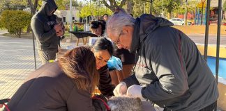 Ulapes: Campaña de Desparasitación y Vacunación Antirrábica