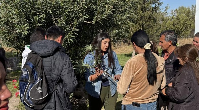 Ulapes: Fue sede de una jornada sobre técnicas de injerto