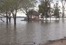Alerta en el Litoral por la llegada de El Niño: Entre Ríos declaró la emergencia hídrica y hay familias evacuadas