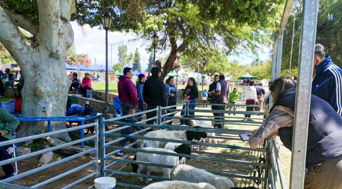 Malanzán: El Departamento J. F. Q. deslumbró en la 2.ª Expo Agroganadera de Aimogasta