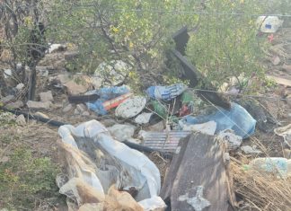 Chepes: Hallan restos óseos humanos y féretros tirados al aire libre