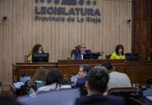 La Cámara aprobó la regulación del uso de celulares en las escuelas y designó al Fiscal General