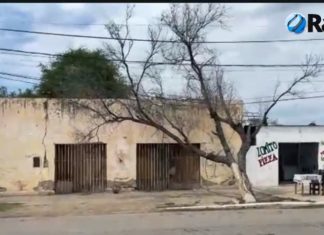 Chepes: Un árbol seco y en riesgo de caída Amenaza a los vecinos de la ciudad