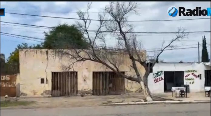 Chepes: Un árbol seco y en riesgo de caída Amenaza a los vecinos de la ciudad